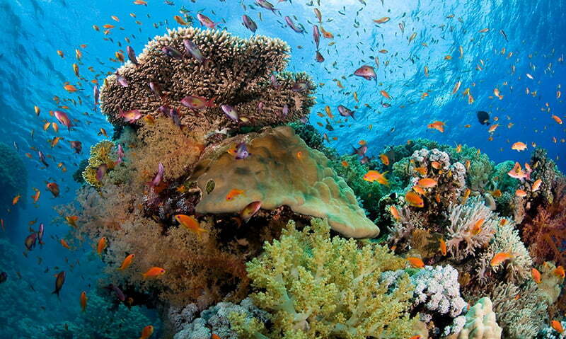NHA TRANG ISLAND AND SNORKELING