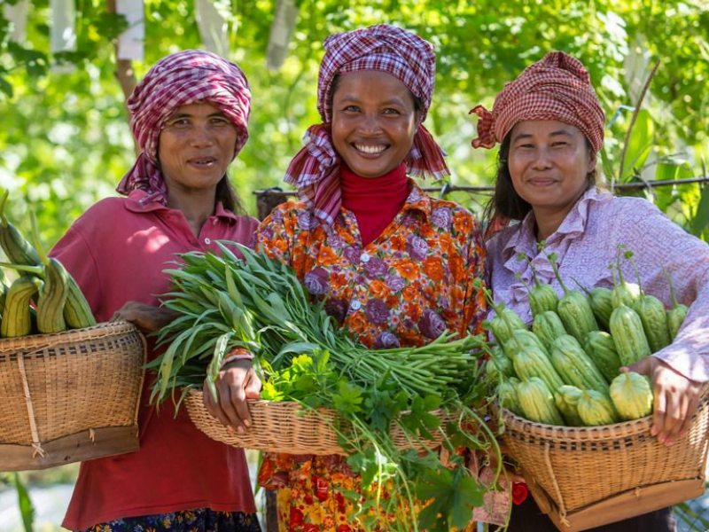CAMBODIA LOCAL LIFE