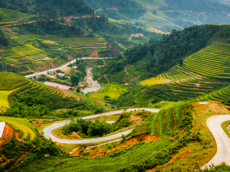 DISCOVER THE LIFE OF TAPHIN RED DAO HILL TRIBE VILLAGE