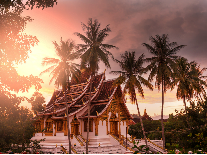 LAOS DELIGHT