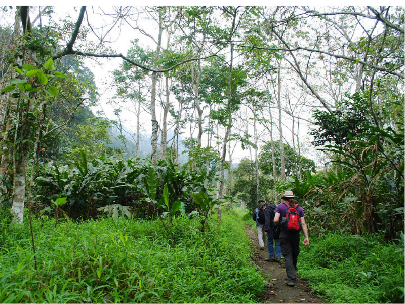 NINH BINH – CUC PHUONG