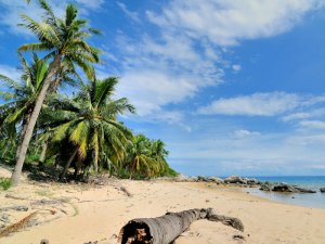 CHAM ISLAND CAMPING