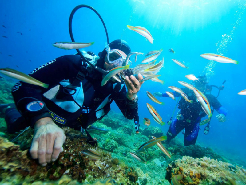 DIVING AT MUN ISLAND