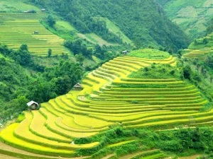 SAPA IN-STYLE
