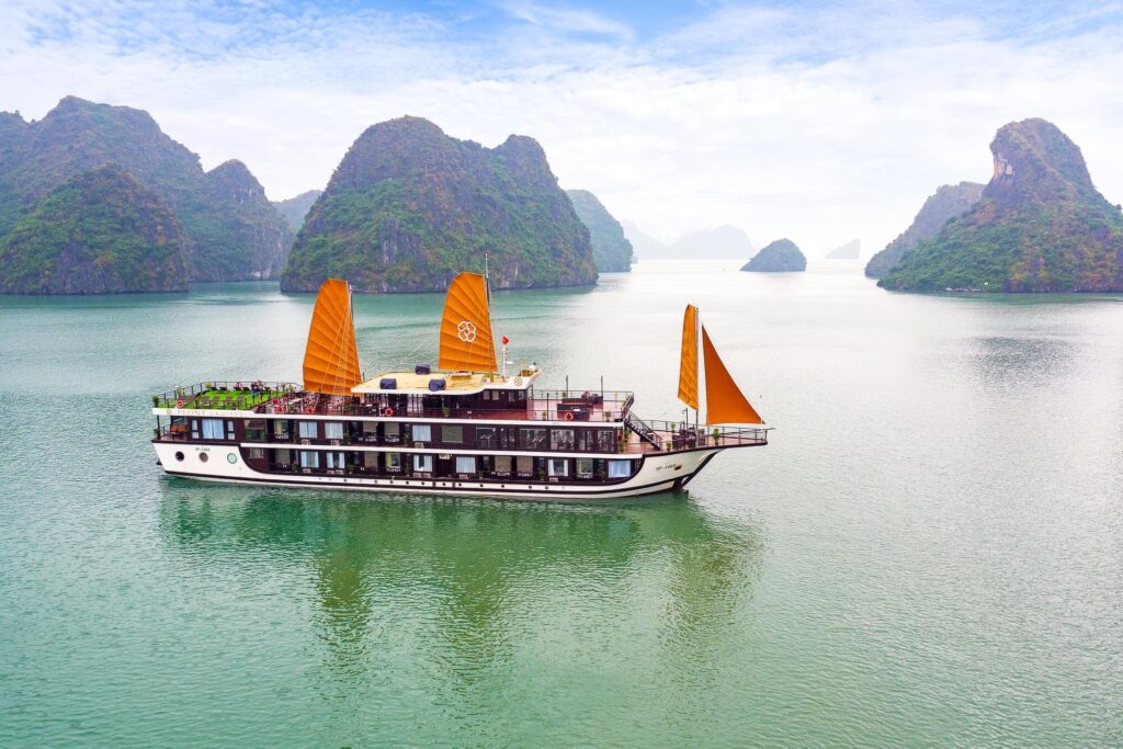 PEONY CRUISE