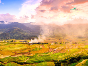 VIETNAM INSIGHTS