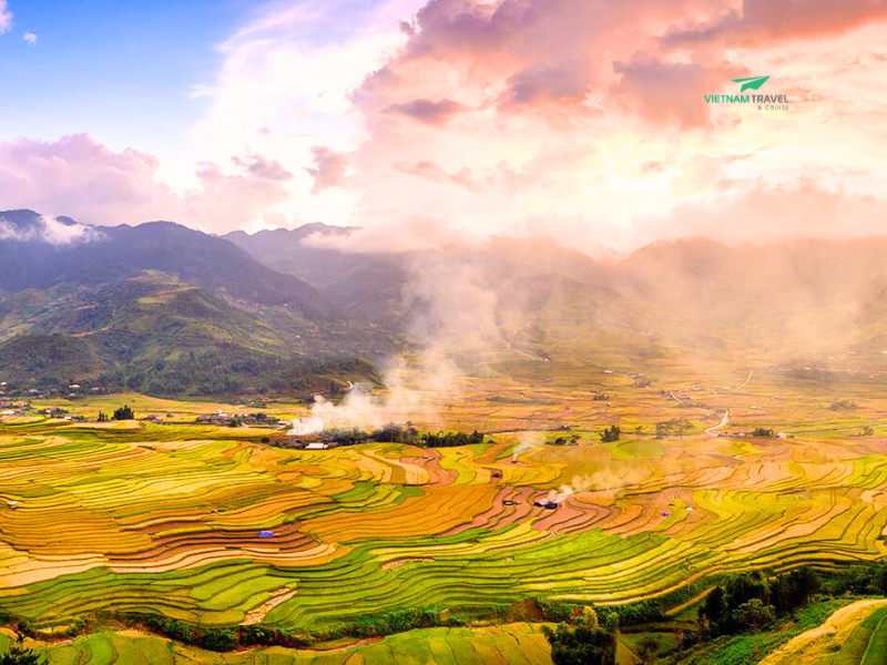 VIETNAM INSIGHTS