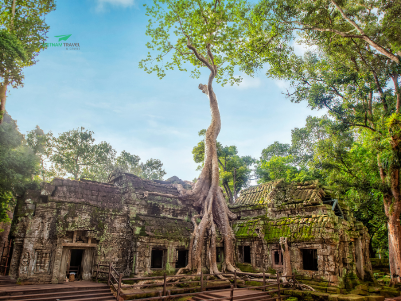 HEART OF CAMBODIA