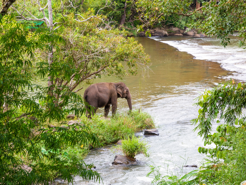 BEST OF LAOS