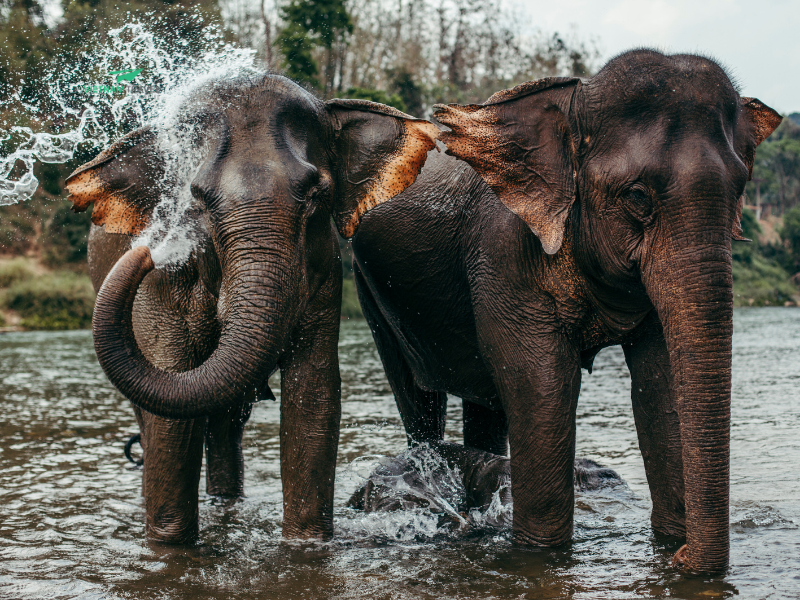 SOUTHERN LAOS ADVENTURE